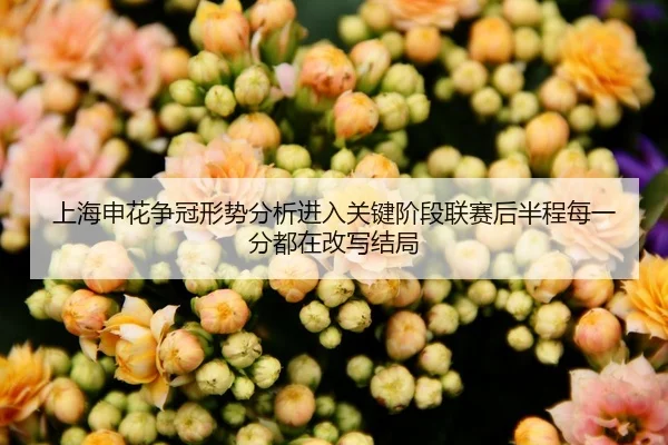 上海申花争冠形势分析进入关键阶段联赛后半程每一分都在改写结局